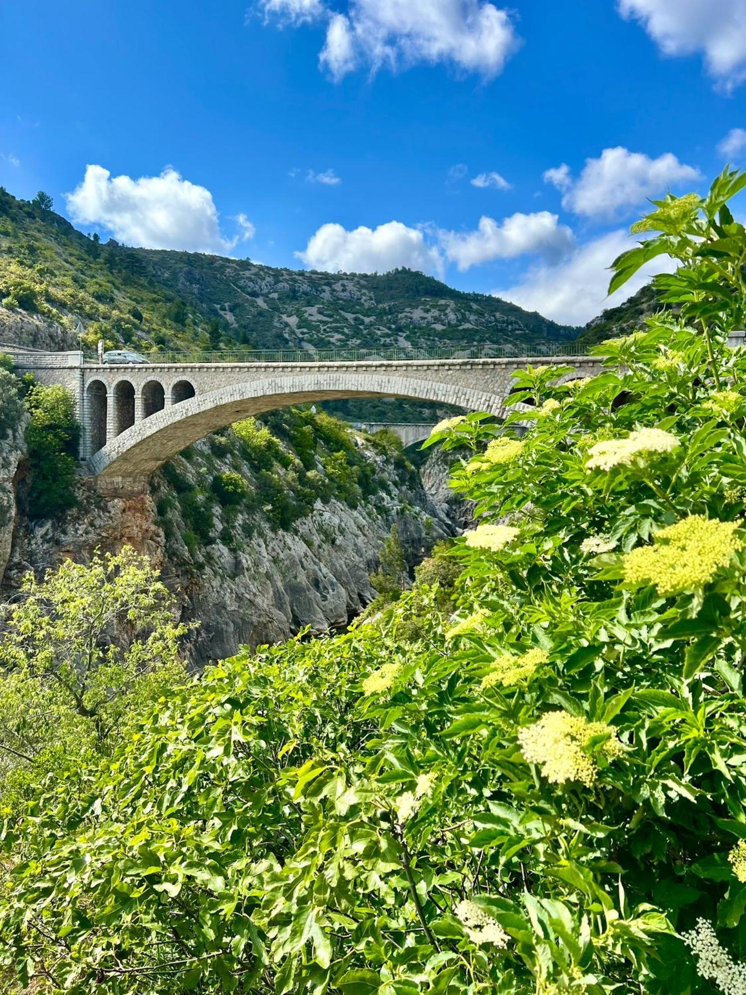 Melisande Au Pays Des Orjouliers Saint-Jean-de-Fos Esterno foto